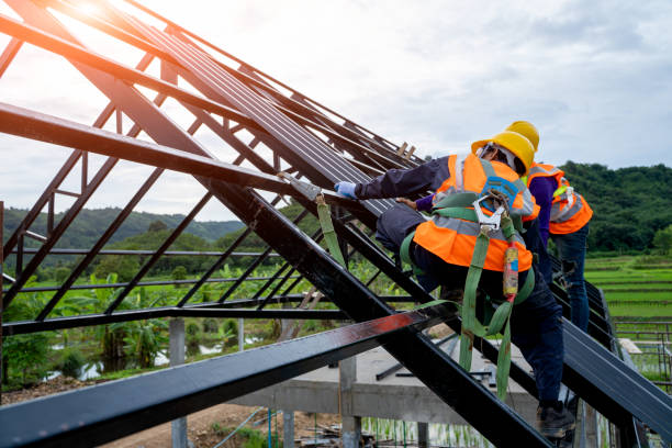 Best Roof Gutter Cleaning  in Mccoll, SC