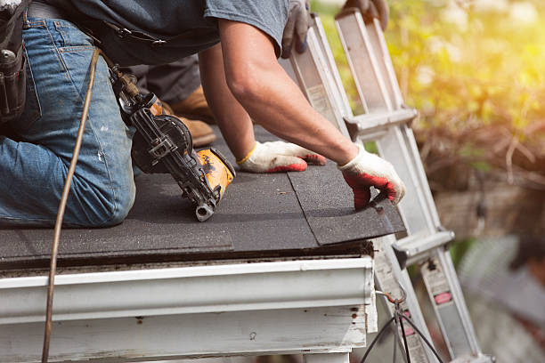 Best Roof Gutter Cleaning  in Mccoll, SC